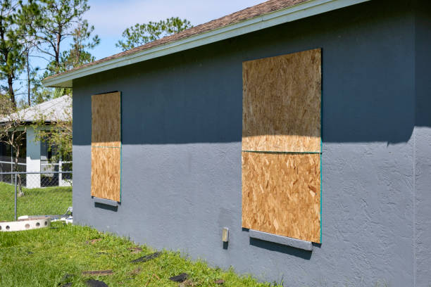 Best Siding Painting and Refinishing  in Nyon Lake, CA